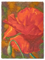 "Red Poppy," watercolor, 22"x30"