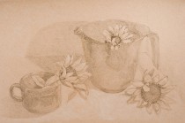 "Sunflowers," graphite and white pastel, 12"x18"